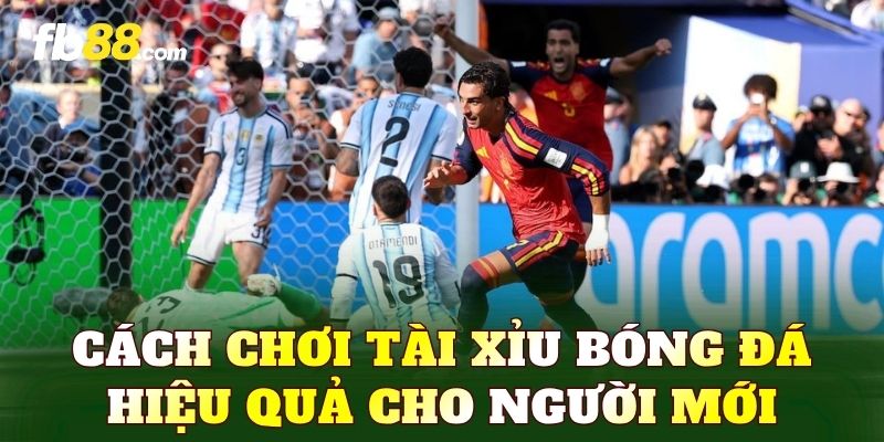 Cách chơi tài xỉu bóng đá hiệu quả cho người mới