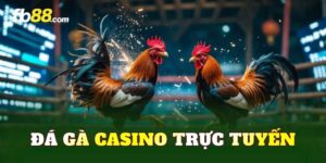 Đá Gà Casino Trực Tuyến
