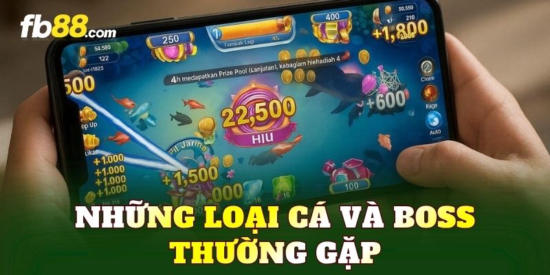 Những loại cá và boss thường gặp